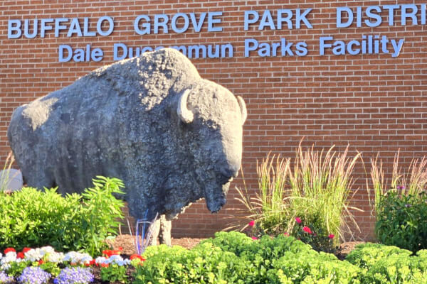 Find Buffalo Grove Probate Realtor
